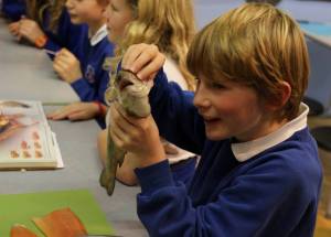 CFF You Can Cook 3 blog