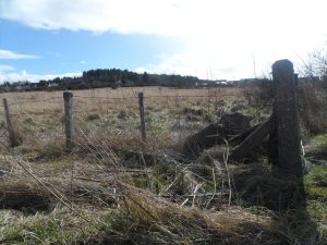 The land at Glascairn will be brought into community ownership