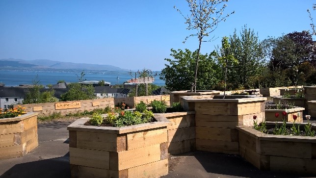 Belville Community Garden Trust's garden on a sunny day