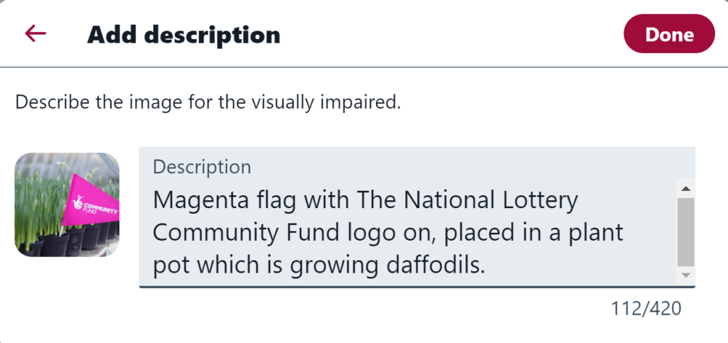 An example of an image description on Twitter which says 'Magenta flag placed in a plant pot which is growing daffodils'.